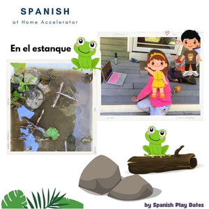 Spanish Program | 12-Month Plan | Printable Download